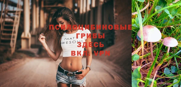 spice Володарск