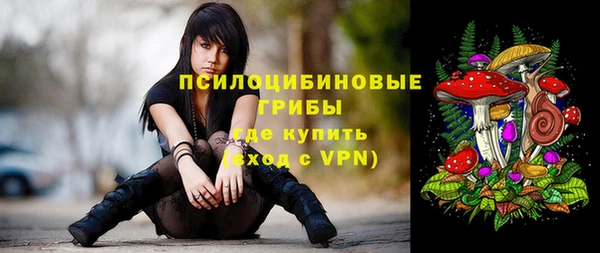 spice Володарск