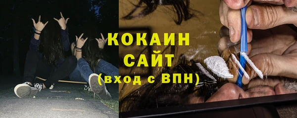 не бодяженный Бородино